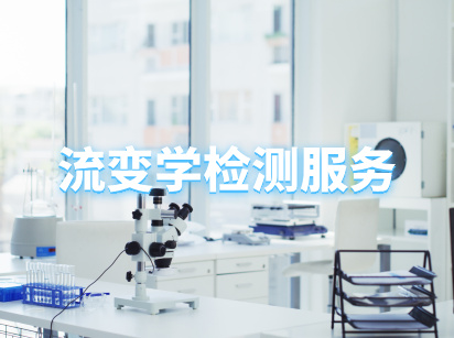 流变学测试服务CMA检测机构